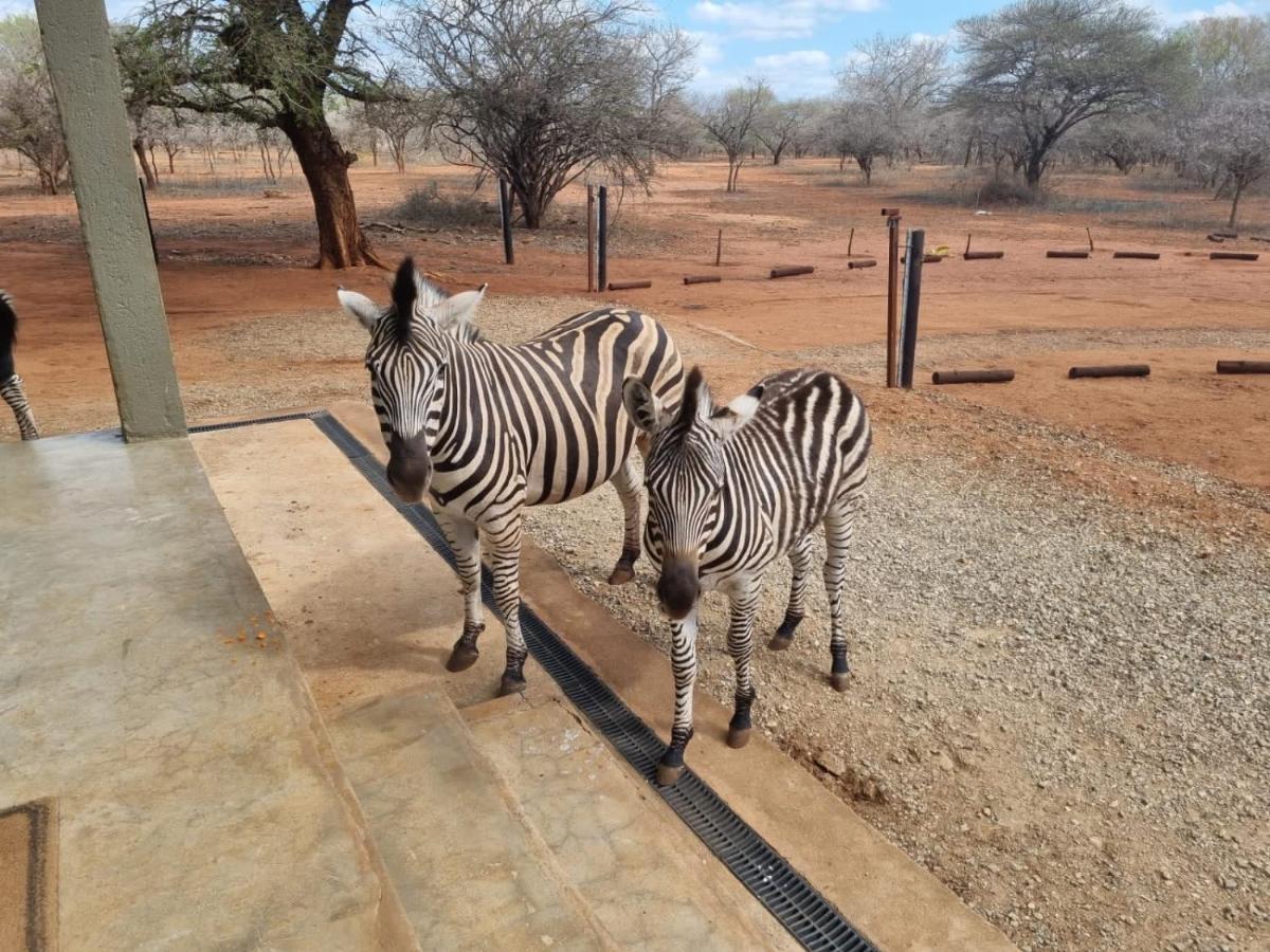 Doornkom Vakantiehuis Marloth Park