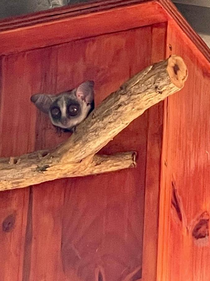 Vakantiehuis Doornkom Marloth Park